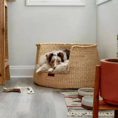 Bagane Panier design pour chien / chat en herbe naturelle Frafra