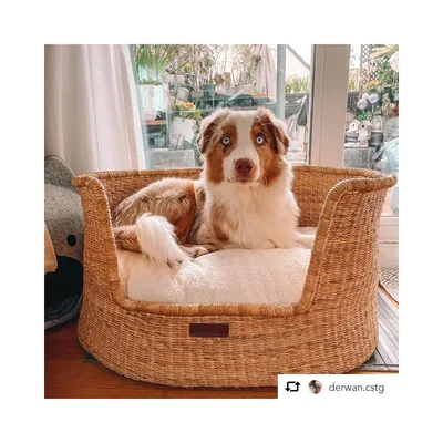 Bagane Panier design pour chien / chat en herbe naturelle Frafra