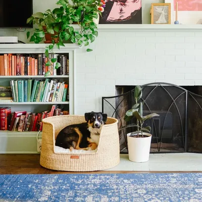 Bagane Panier design pour chien / chat en herbe naturelle Frafra