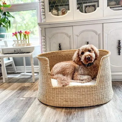 Bagane Panier design pour chien / chat en herbe naturelle Frafra
