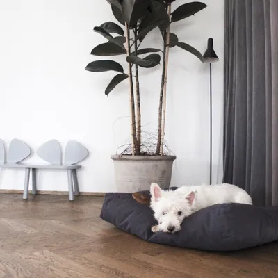 Bagane Coussin pour chien moelleux, en coton bio gris anthracite Hvad