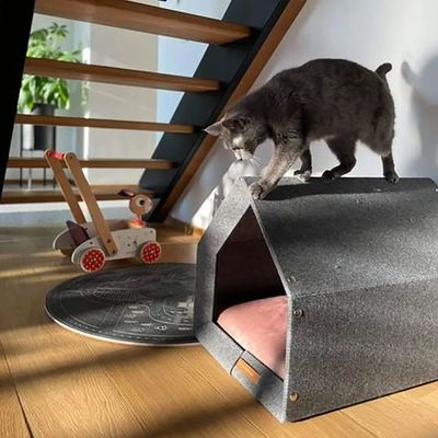 Bagane Niche d'intérieur chien / chat, design, gris clair Sanka