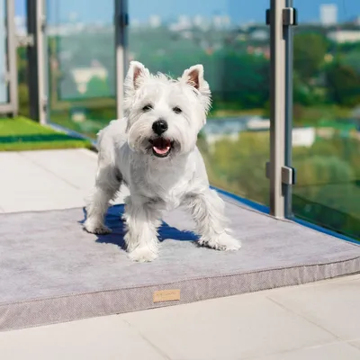 Bagane Tapis chien confortable en tissu gris clair Namaste