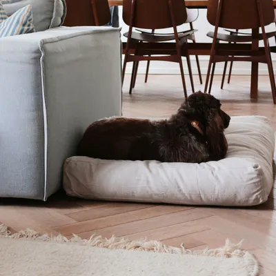 Bagane Coussin pour chien moelleux, en coton bio sable Hvad