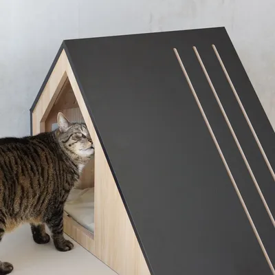 Bagane Maison design chat / petit chien en bois et coussin amovible Villa