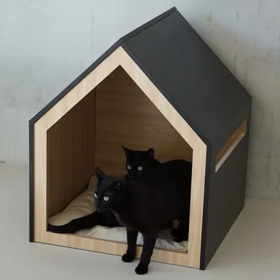 Bagane Maison design chat / petit chien en bois et coussin amovible Villa