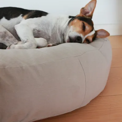 Bagane Coussin rond pour chien moelleux, en coton bio Hvil Bagane Coussin rond pour chien moelleux, en coton bio Hvil