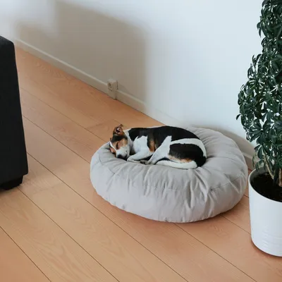 Bagane Coussin rond pour chien moelleux, en coton bio Hvil