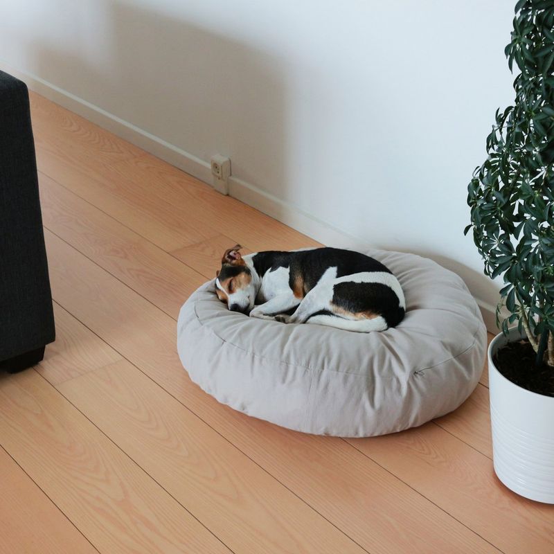 Bagane Coussin rond pour chien moelleux, en coton bio Hvil