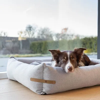 Bagane Panier déhoussable chien / chat en tissu gris clair Daya Bagane Panier déhoussable chien / chat en tissu gris clair Daya