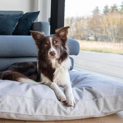 Bagane Coussin chien design et moelleux, gris clair Kaha