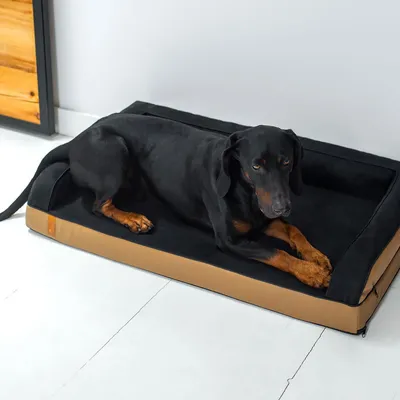Bagane Coussin chien orthopédique à mémoire de forme, camel / noir Sohva