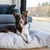 Bagane Coussin chien design et moelleux, gris clair Kaha