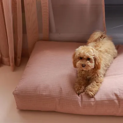 Bagane Coussin pour chien moelleux, en coton bio corail Hvad