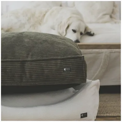 Bagane Lit pour chien / chat, déhoussable en velours côtelé vert Quattro