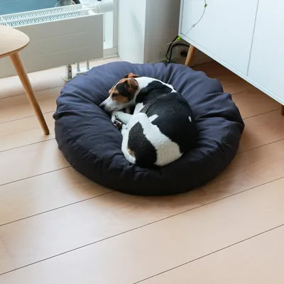 Bagane Coussin rond pour chien moelleux, en coton bio Hvil