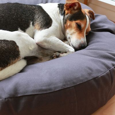 Bagane Coussin rond pour chien moelleux, en coton bio Hvil