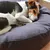 Bagane Coussin rond pour chien moelleux, en coton bio Hvil Bagane Coussin rond pour chien moelleux, en coton bio Hvil