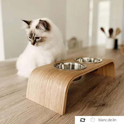 Bagane Set de 2 gamelles surélevées en acier, socle bois chêne Gero Bagane Set de 2 gamelles surélevées en acier, socle bois chêne Gero