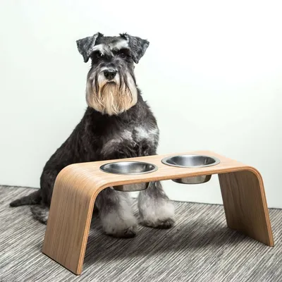 Bagane Set de 2 gamelles surélevées en acier, socle bois chêne Gero