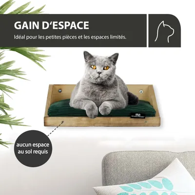 Rohrschneider Marche d'escalade flammée avec coussins