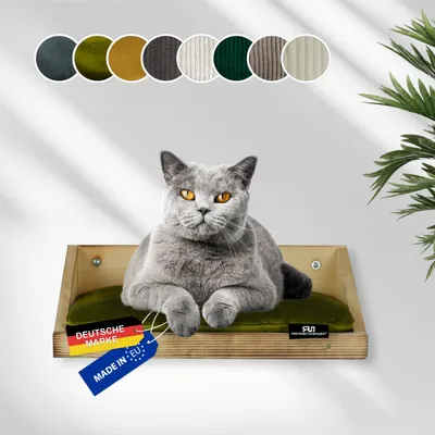 Rohrschneider Geflammte Treppenstufe mit Kissen