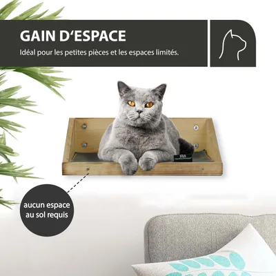 Rohrschneider Marche d'escalade flammée avec insert