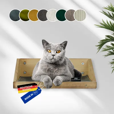 Rohrschneider Marche d'escalade flammée avec insert