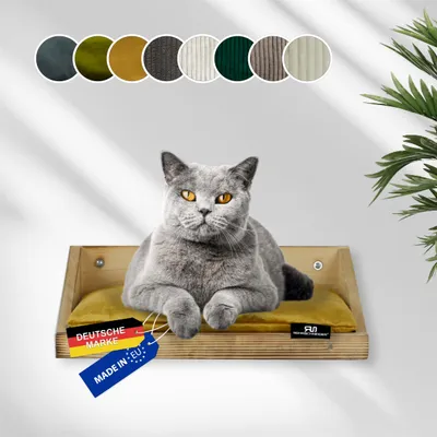 Rohrschneider Marche d'escalade flammée avec coussins Rohrschneider Marche d'escalade flammée avec coussins