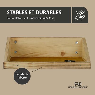 Rohrschneider Marche d'escalade flammée avec insert