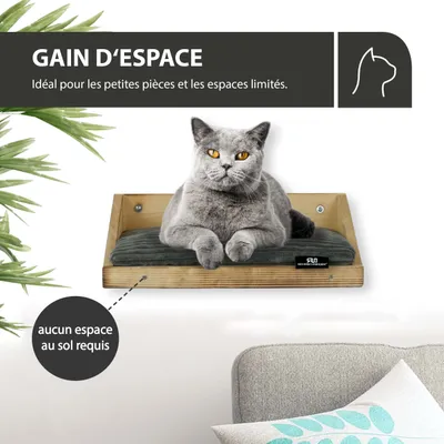 Rohrschneider Marche d'escalade flammée avec coussins