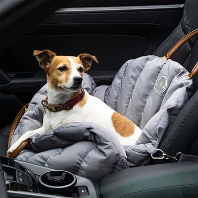 Baily - Sac de transport pour chiens 3 en 1