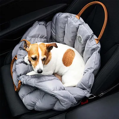 Baily - Sac de transport pour chiens 3 en 1