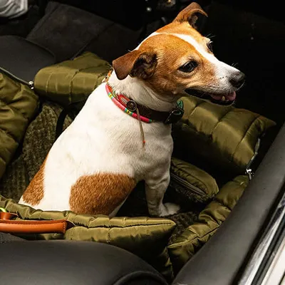 Sunny - Sac de transport pour chien avec lit pour chien