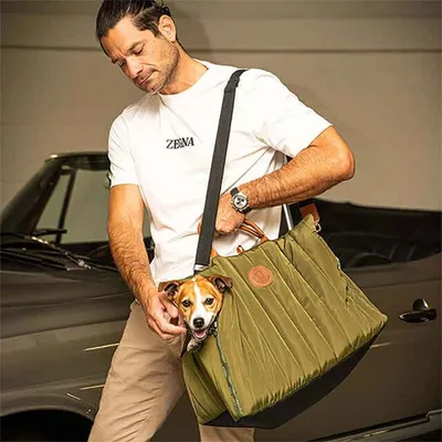 Sunny - Sac de transport pour chien avec lit pour chien