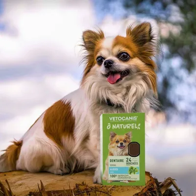 Vetocanis, Lot de 3 Compléments Alimentaires Dentaire pour Chien