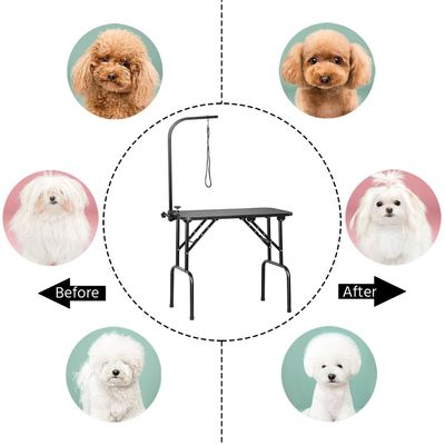 Hundepflegetisch Trimmtisch für Hunde Pudel Fellpflegetisch Schertisch