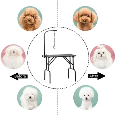 Yaheetech Table de Toilettage pour Chien