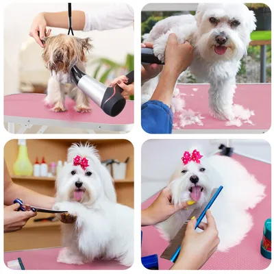 Table De Toilettage Pour Chien Chiot Chat Pliant Rose