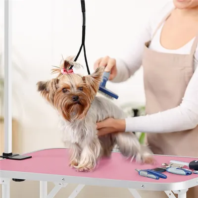 Table De Toilettage Pour Chien Chiot Chat Pliant Rose