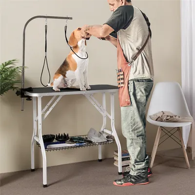 Table De Toilettage Pour Chien/chat/animaux De Companie Noir