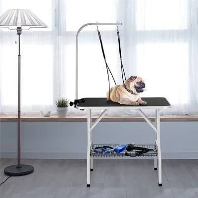 Table De Toilettage Pour Chien/chat/animaux De Companie Noir