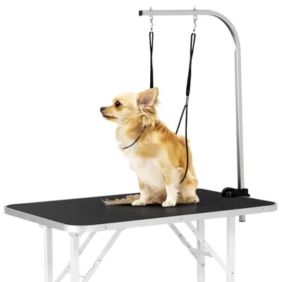 Yaheetech Table de Toilettage pour Animaux