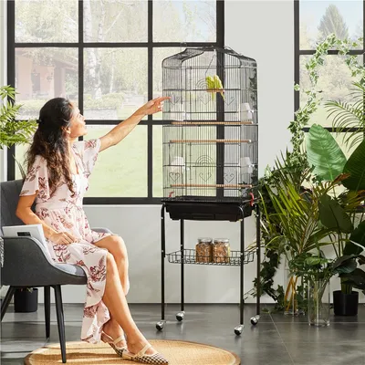 Yaheetech Cage à Oiseaux en Métal
