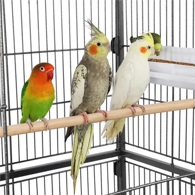 Yaheetech  Grande Cage à Oiseaux sur Pied Cage à Oiseaux