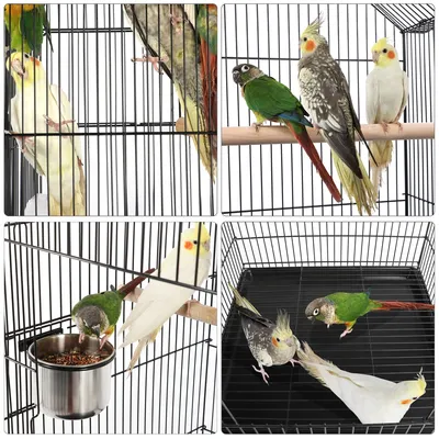 Vogelvoliere Vogelkäfig Voliere Vogelhaus Vogelheim Vogelbauer Tierkäfig