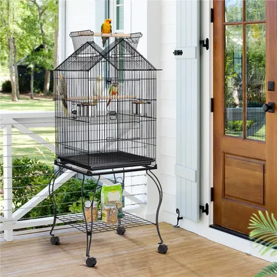Cage à Perroquet En Métal à Toit Ouvert Avec Roulettes, Perchoirs