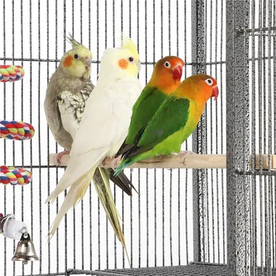 Yaheetech Cage Oiseaux Cage