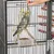 Yaheetech Cage Oiseaux Cage Yaheetech Cage Oiseaux Cage