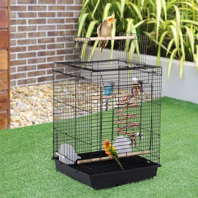 Cage à Oiseaux En Métal Avec Jouet, Corde à Clochette, Perchoirs